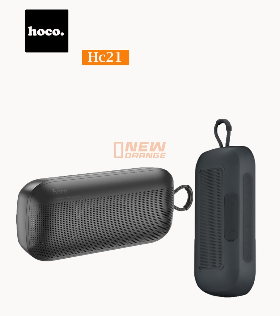 hc21_2.jpg