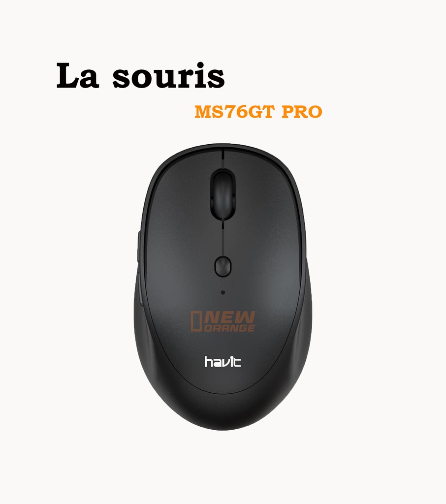 [ms76gt] la souris havit ms76gt pro