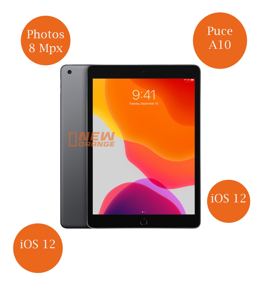 [NOREF301] iPad (6e génération)